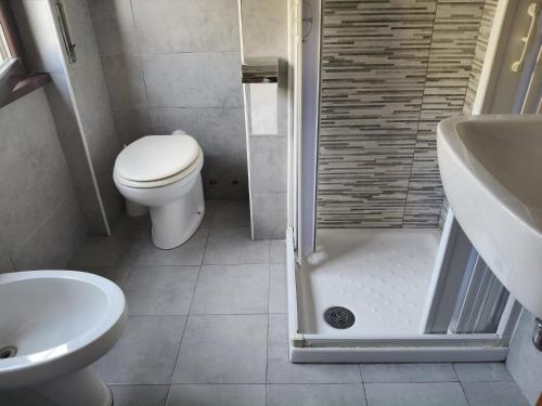 a bathroom with a toilet and a sink and a shower at Hotel Salus in Milan