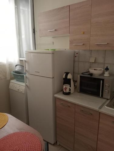 a kitchen with a white refrigerator and a microwave at Stydio Damos in Kavála