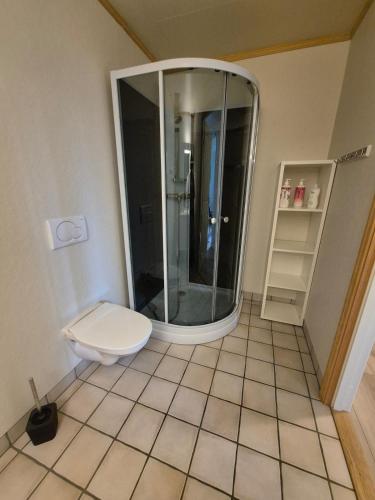 a bathroom with a toilet and a glass shower at Apartment on Leknes with a view in Vestvågøya