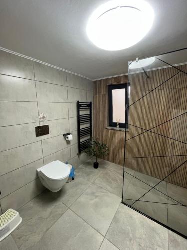 a bathroom with a toilet and a glass shower at Chalet 1602 in Avrig