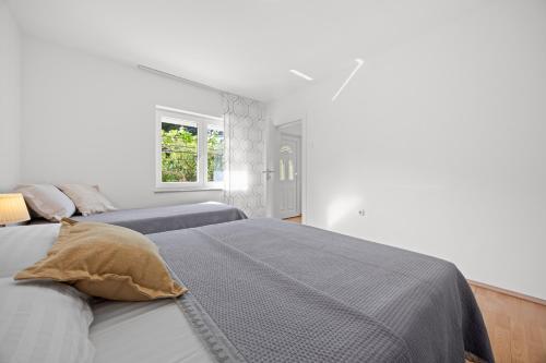 Apartment With a Garden