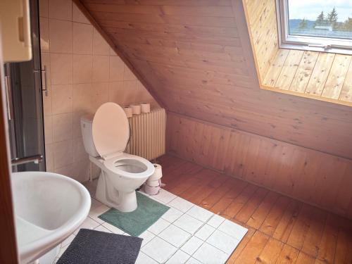 a bathroom with a toilet and a sink in a attic at Chalupa Pavlonka in Staré Hamry