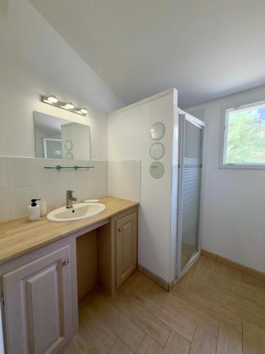 a bathroom with a sink and a shower at Maison classée 3 étoiles avec garage et 2 terrasses in Arles-sur-Tech