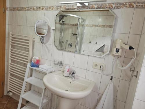 a bathroom with a sink and a mirror at Ferienwohnung Andalucia in Selb