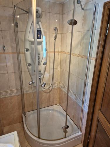 a shower in a bathroom with a toilet at Vineyard Cottage - Ana in Metlika