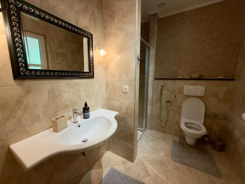 a bathroom with a sink and a toilet and a mirror at GH Mountain & Bay View with POOL in Gornji Orahovac