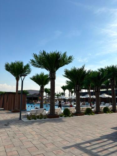 a group of palm trees next to a pool at Polaris resort in Almaty