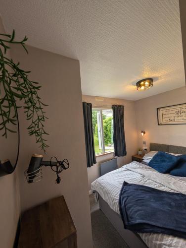 a bedroom with a bed and a window at 42 pine lodge & sea views in Llanarmon