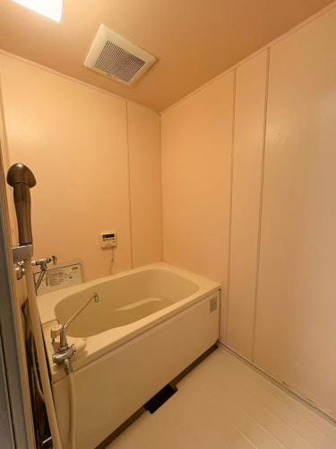 Shinsaibashi apartment