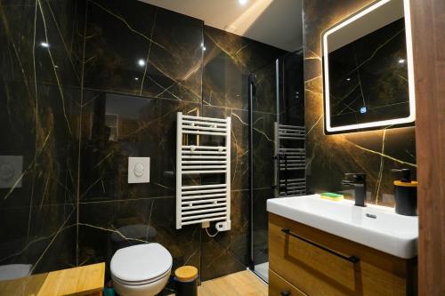 a bathroom with a toilet and a sink and a mirror at Studio S Les Suites Du Roubion in Montélimar