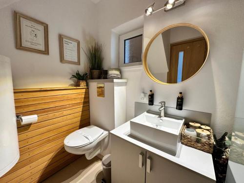 a bathroom with a sink and a toilet and a mirror at Wanderlust Cottage Avrig in Avrig