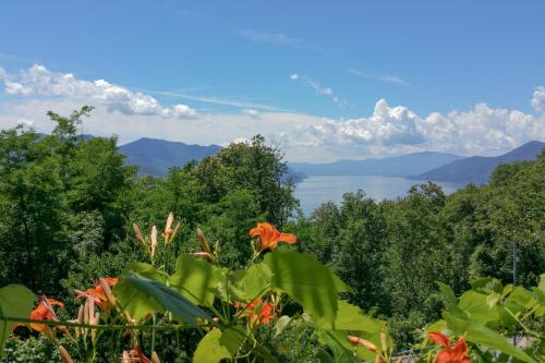 a flower in the foreground with a lake in the background at Residenza sul Lago Maggiore in Luino