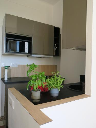 Penthouse intra-muros in Avignon