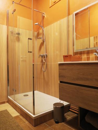 Penthouse intra-muros in Avignon