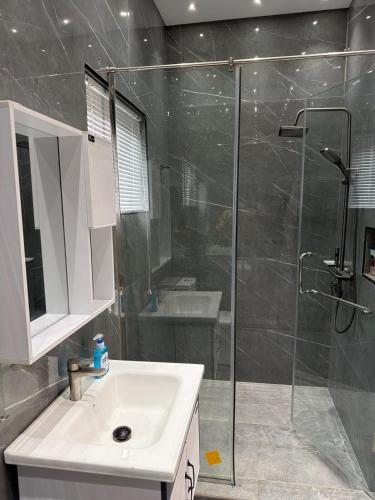 a bathroom with a sink and a glass shower at Nana's Villa in Danfa