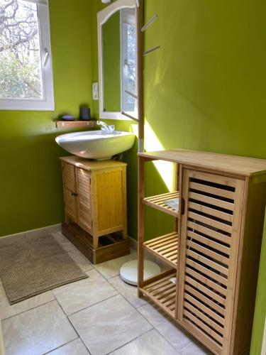 a bathroom with a sink and a mirror at Grand studio in Salles-sous-Bois