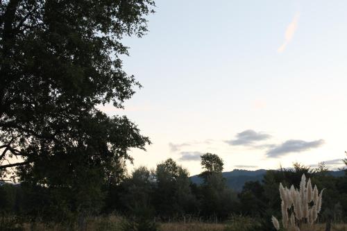 a view of a field with trees in the background at Cabañas Captren Andino in Curacautín