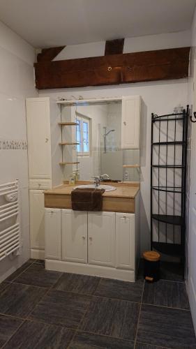 a bathroom with a sink and a mirror at Domaine de Beaudon Les Coucous in Augerville-la-Rivière