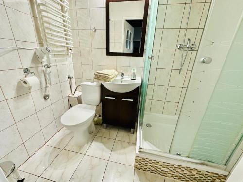 a bathroom with a toilet and a shower and a sink at Wygodne Spanie in Cisna