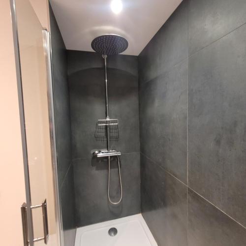 a shower with a shower head in a bathroom at Le FENUA in Colmar