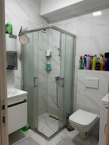 a bathroom with a shower with a toilet and a sink at Mila Todorovska in Star Dojran