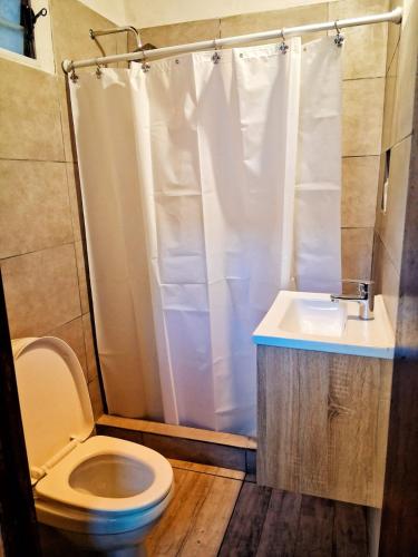 a bathroom with a toilet and a sink and a shower at Castelli b&b in Mar del Plata