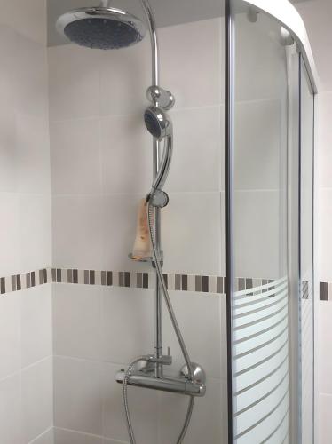 a shower in a bathroom with a glass door at Chez Karen in Montlay-en-Auxois