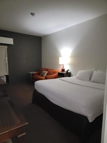 a hotel room with a large bed and a couch at Dyersburg Hotel in Dyersburg
