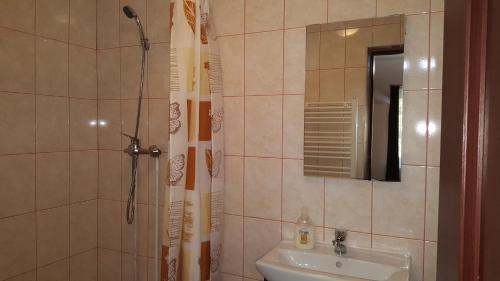 a bathroom with a shower curtain and a sink at Cabana Cory Râușor in Râu de Mori