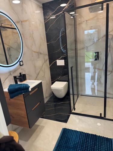 a bathroom with a shower with a toilet and a sink at Dom Okale in Kazimierz Dolny
