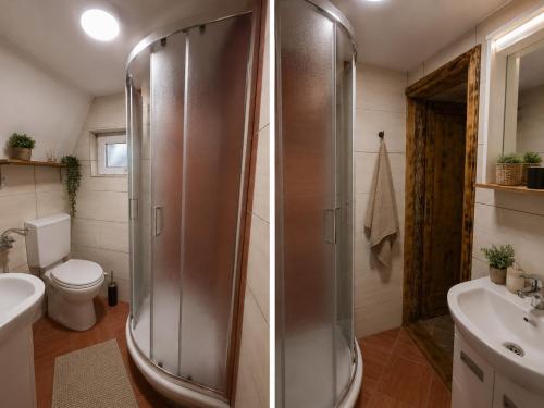 a bathroom with a shower and a toilet and a sink at Vila Andreoni,na obali Dunava in Kovin