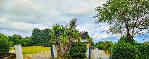 a house with a fence and palm trees on a street at Iona in Blessington