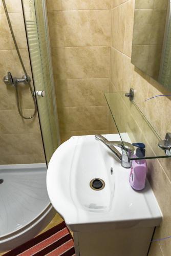 a bathroom with a white sink and a shower at Nyiko Vendégház in Lupeni