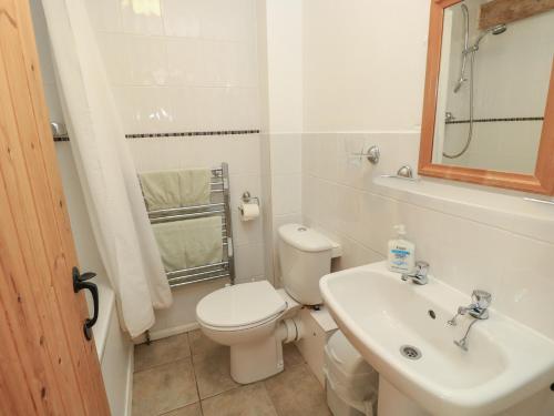 a white bathroom with a toilet and a sink at Byre Cottage 4 in Pulborough