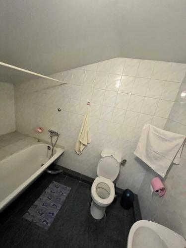 a bathroom with a toilet and a tub and a sink at Sia Rebir D, Hotel Rebir in Daugavpils