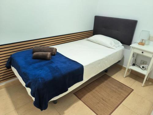Comfortable Flat Near Las Canteras