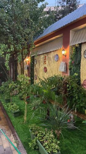 a garden with plants and flowers in front of a house at Anor Avenue Hotel in Tashkent