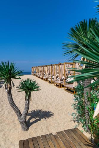 a row of chairs on the beach with palm trees at THE ONE Grand Hotel da Póvoa - by MHMB Hospitality in Póvoa de Varzim