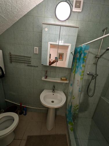 a bathroom with a sink and a shower and a toilet at B59 mini in Budakalász