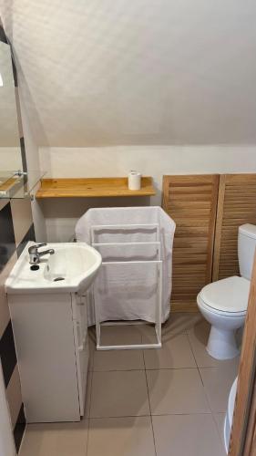 a bathroom with a sink and a toilet at Ranczo Obozin 62 in Obozin