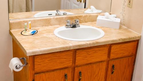 a bathroom counter with a sink and a mirror at Traveller's Inn Prince Edward Island in Summerside