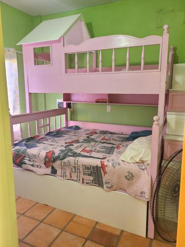 ein rosa Etagenbett in einem Zimmer mit grünen Wänden in der Unterkunft San Blas in Ypacarai