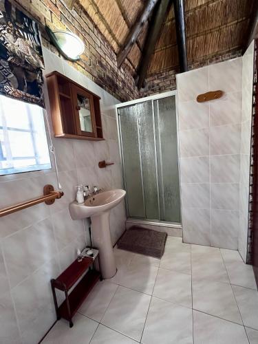 a bathroom with a sink and a shower at Zaganaga Kruger Lodge in Marloth Park