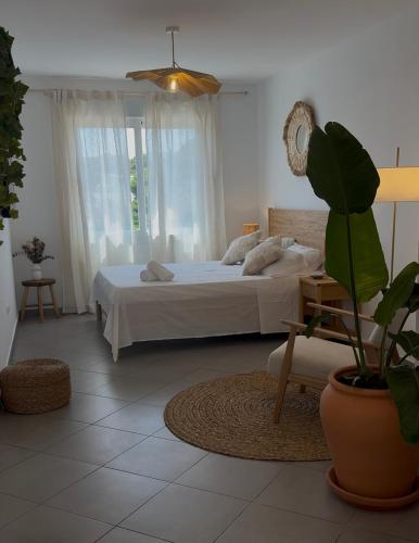 a bedroom with a bed and a potted plant at BALADRAR by Maxim in Benissa