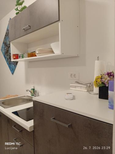 a kitchen with a sink and a white counter top at Apartma AURORA in Dekani