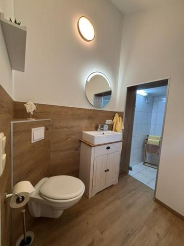 a bathroom with a toilet and a sink and a mirror at Naturcamp Duvendiek Blockhäuschen in Niepars