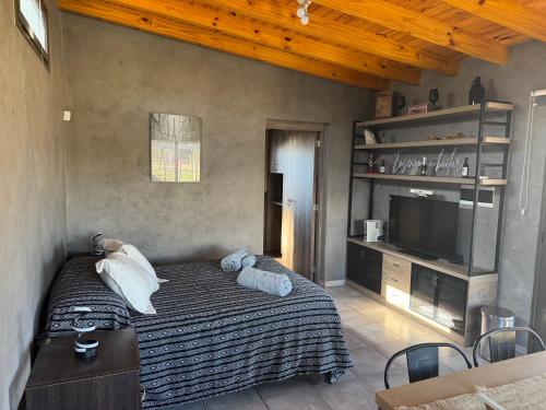 a bedroom with a bed and a flat screen tv at Wine Studio with BBQ & pool in Las Heras