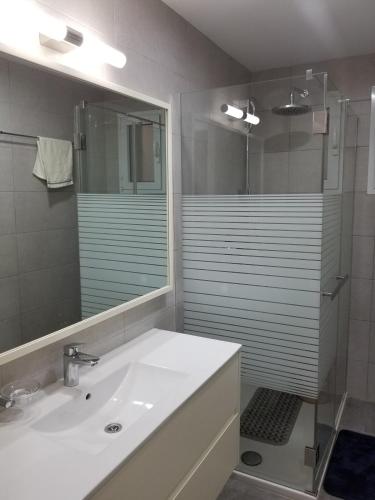 a bathroom with a sink and a shower with a mirror at Eden Heights in Tokuse