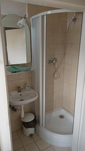 a small bathroom with a shower and a sink at Vila Jitka in České Budějovice