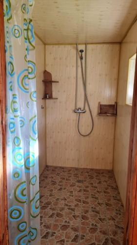 a bathroom with a shower in a room at Viešnagė gamtos prieglobstyje in Gūragiai
